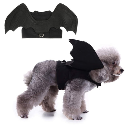 dog bat wings